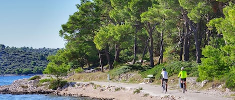 A coastal path with cyclists, a bench, and a clear view of the sea and forested hills.