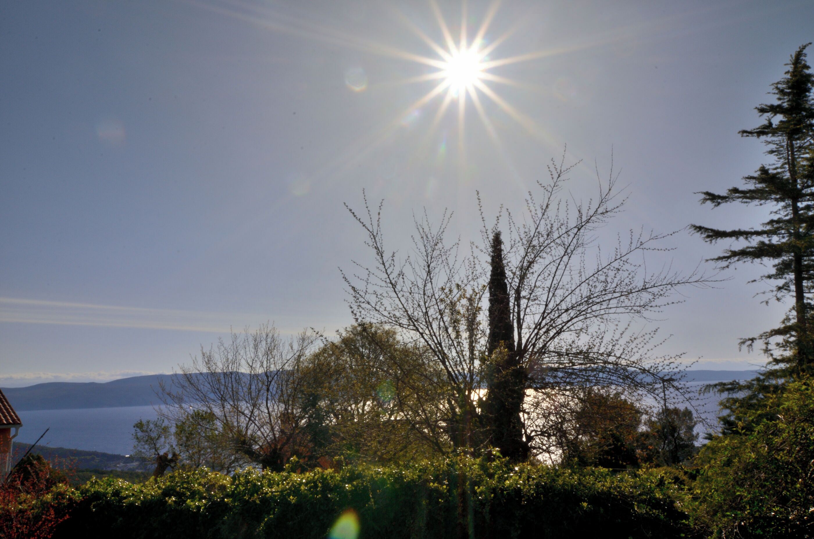 A clear sky with the sun shining brightly, surrounded by trees and a distant view of mountains.
