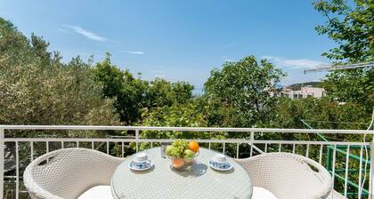 Apartments Zorka