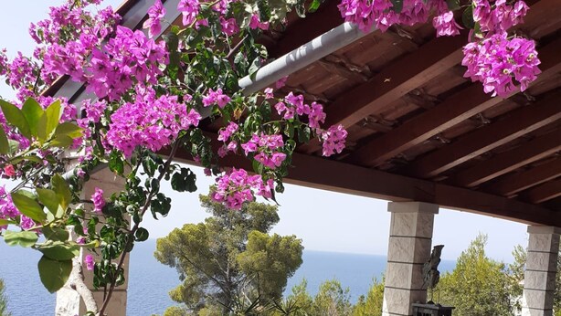 Et overdækket udendørs opholdsområde med et bord og stole, omgivet af frodigt grønt og blomstrende lyserøde buganvillea.