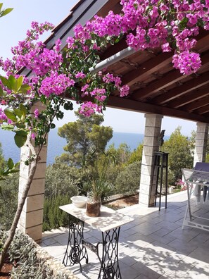 A covered outdoor seating area with a table and chairs, surrounded by lush greenery and vibrant pink bougainvillea flowers. - Apartments Ana (Prizba)