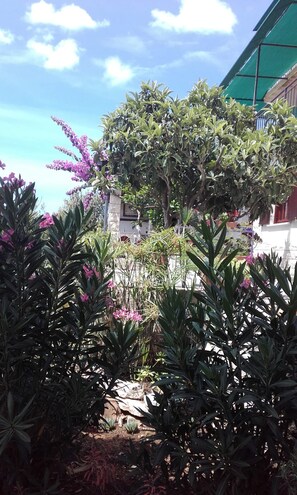 Point of interest - Apartments Ana (Blato)