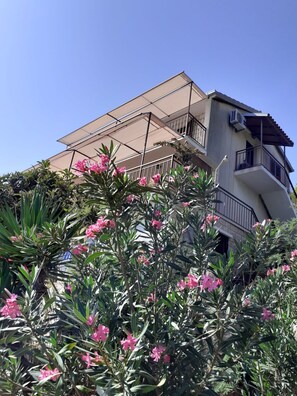 Diseño del edificio