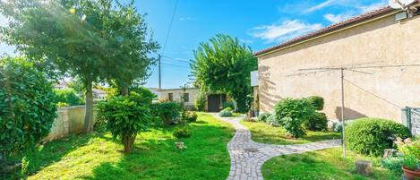A paved pathway leading to a building with a satellite dish, surrounded by lush greenery and a clear blue sky.
