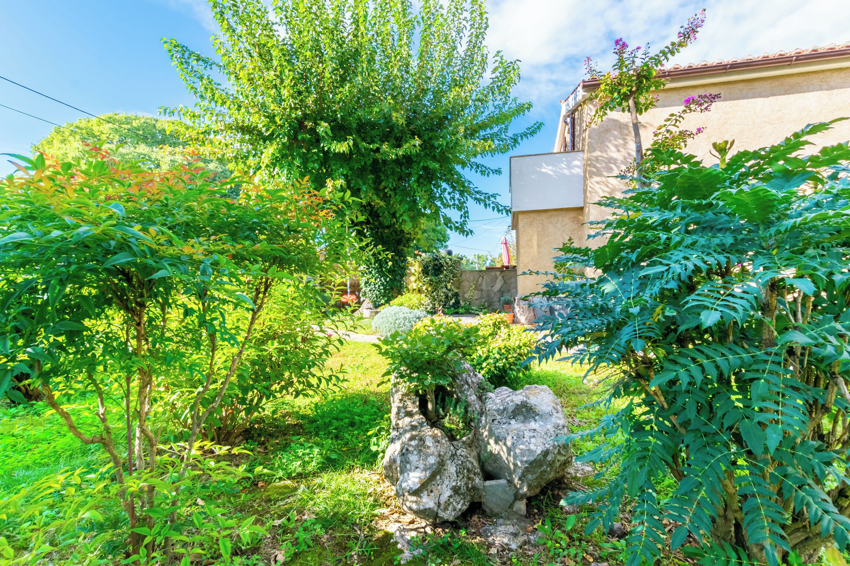 Un giardino con diverse piante e rocce.