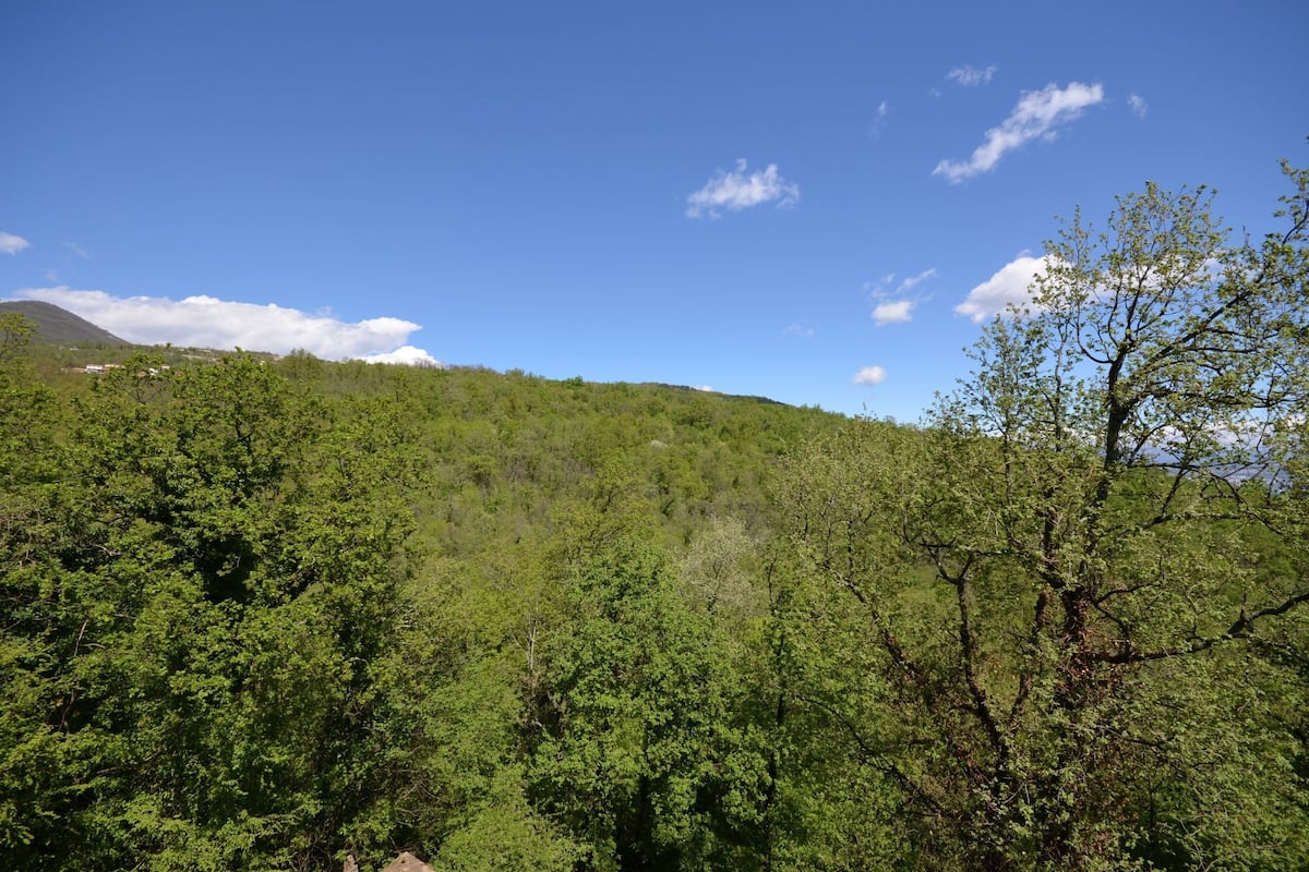 Un paisaje montañoso con denso bosque verde y cielo azul despejado.