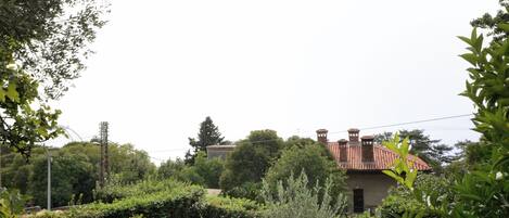 منظر من الجو على ارتفاع عالٍ