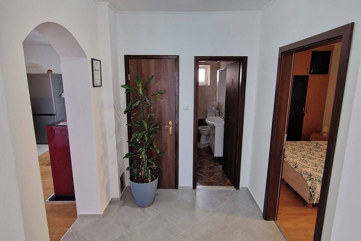 Un pasillo con una planta en maceta, una lámpara en el techo y puertas que dan a un baño y un dormitorio.