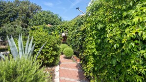 Un vialetto immerso nel verde, con un’antenna parabolica.