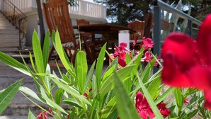 Ein Patio mit Tisch und Stühlen unter einem großen Sonnenschirm, umgeben von Grünpflanzen und roten Blüten.