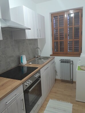 Apartment (A2) | Private kitchen | Fridge, microwave, stovetop, dishwasher