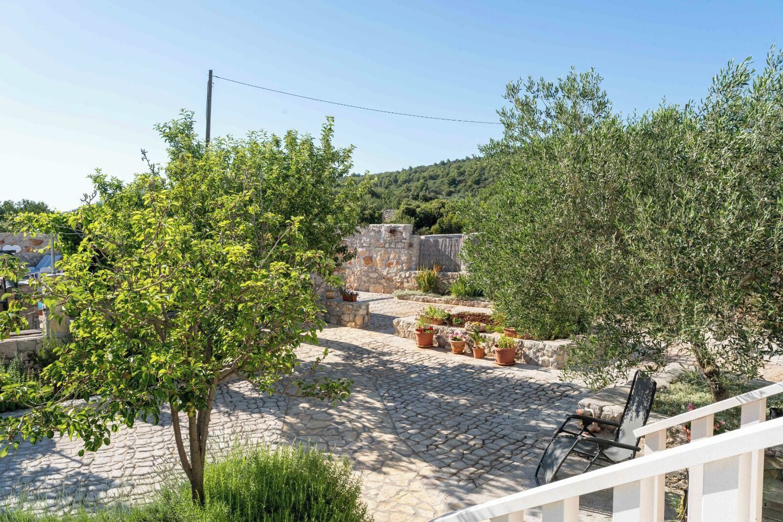 Área da propriedade