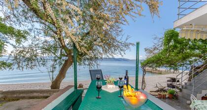House Beach House Toma