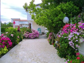 A paved pathway leading to a building with a white facade and a blue door.