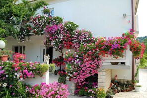 Un bâtiment à la façade blanche, ornée de fleurs roses et rouges éclatantes, et agrémenté de différentes plantes en pot autour de l’entrée.
