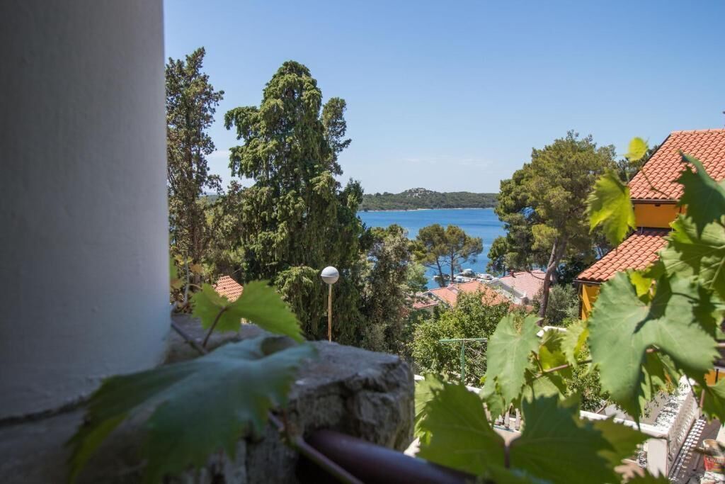 Apartment (A1) | Terrasse/Patio