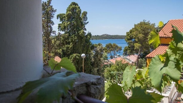 A view from a balcony overlooking a coastal area with a clear blue sea, trees, and buildings with red-tiled roofs. - Apartments Luka (Mali Losinj)
