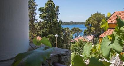 Apartments Luka