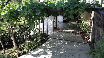 Apartment (A2) | Courtyard