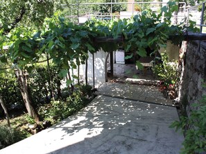 Apartment (A2) | Courtyard