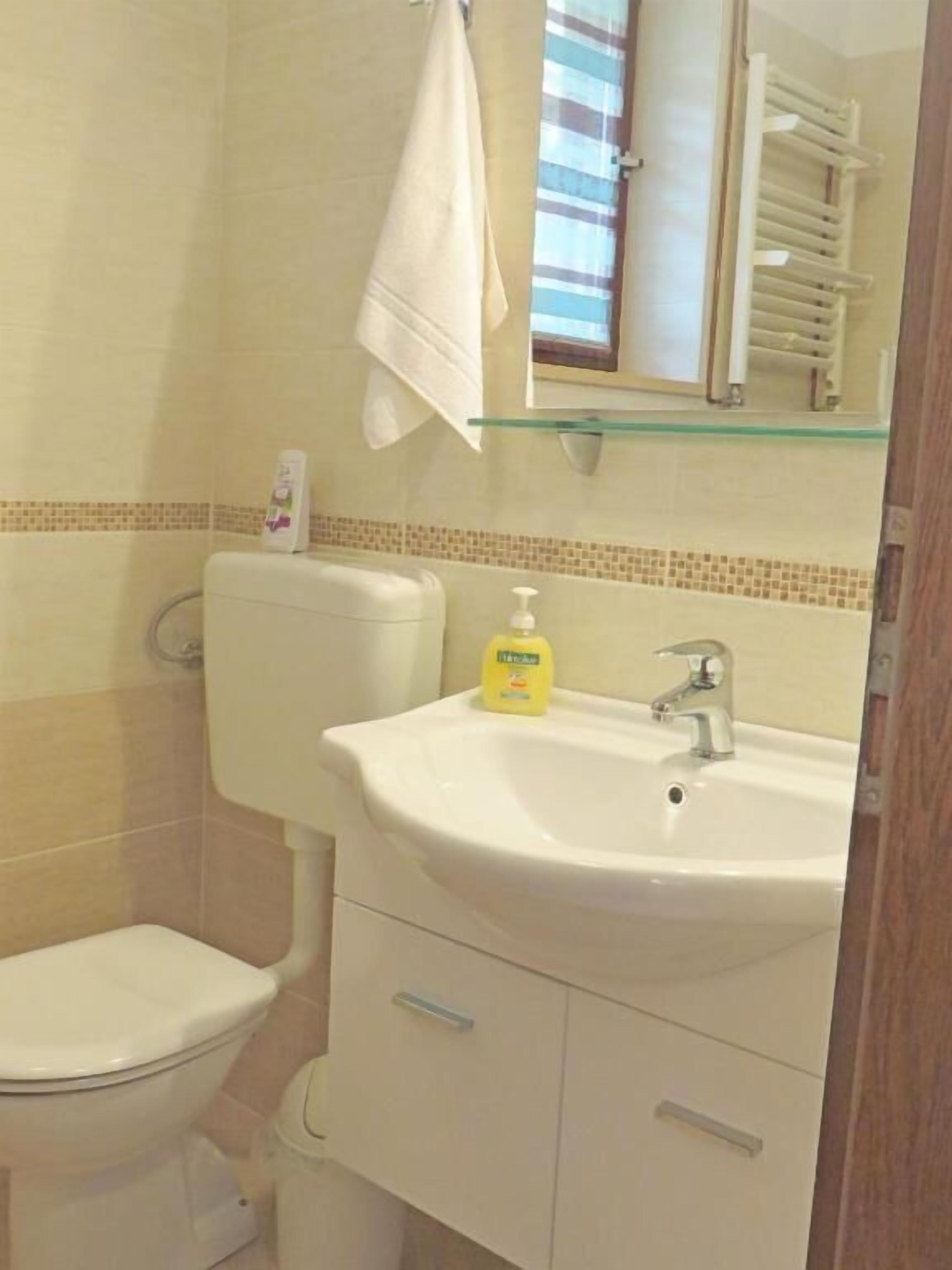 Een badkamer met een toilet, een wastafel met een zeepdispenser, en een glazen plank erboven.