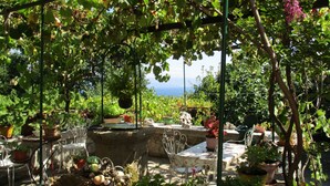 Een tuin met een tafel en stoelen, omringd door potplanten en een pergola.