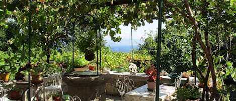 A garden with a table and chairs, surrounded by potted plants and a pergola.