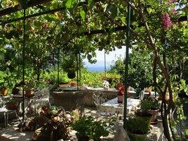 Un jardín con una mesa y sillas, rodeado de plantas en macetas y una pérgola.