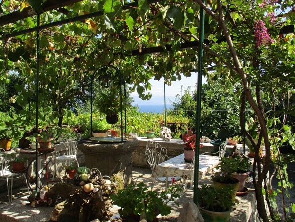 Ein Garten mit Tisch und Stühlen, umgeben von Kübelpflanzen und einer Pergola mit hängenden Pflanzen.