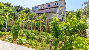 Ein zweistöckiges Haus mit einer Steinmauer und einem Garten mit Weinreben.