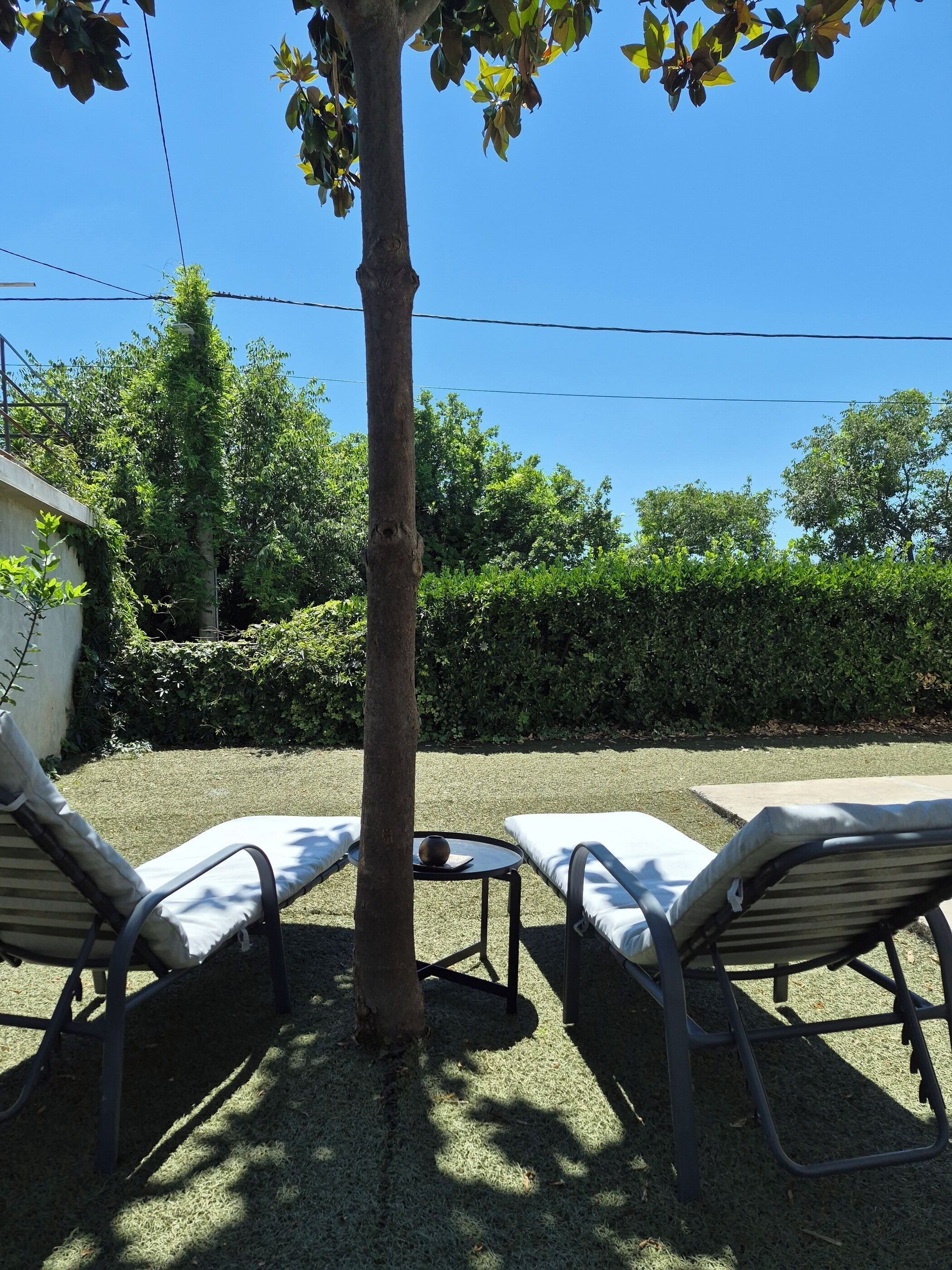 A patio area with two lounge chairs, a small table, and a tree.