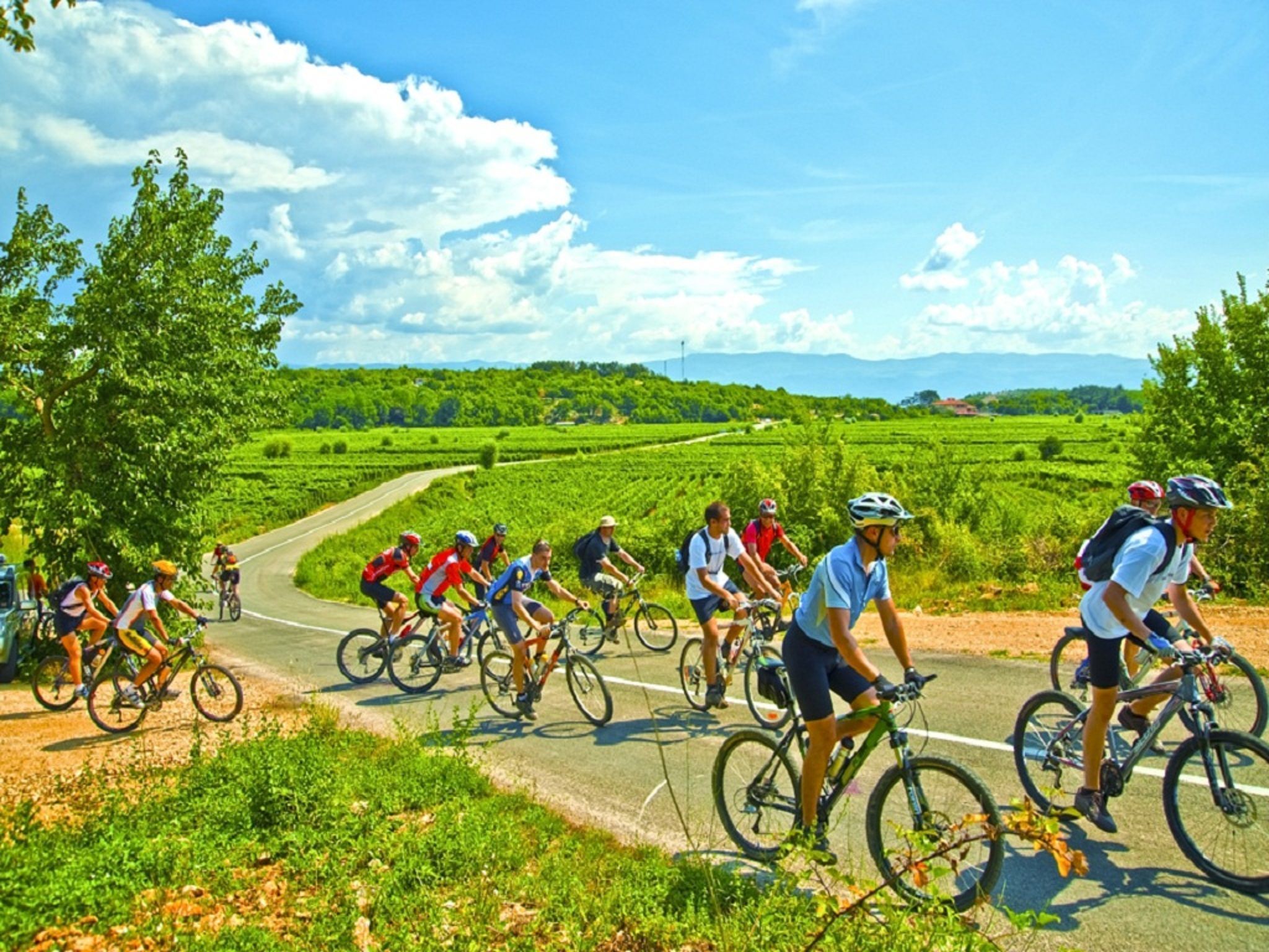 Un grupo de ciclistas en una carretera pavimentada, con un paisaje rural de fondo.