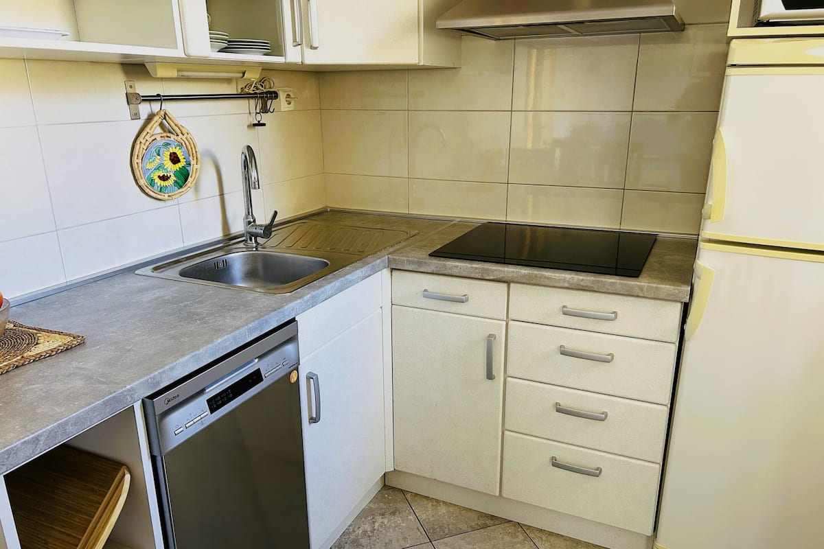 A compact kitchen with a dishwasher, a sink, and a stove.