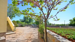 A residential property with a paved driveway, a stone retaining wall, and a garden with young plants.