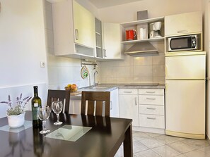 Apartment (A1) | Private kitchen | Fridge, microwave, stovetop, dishwasher