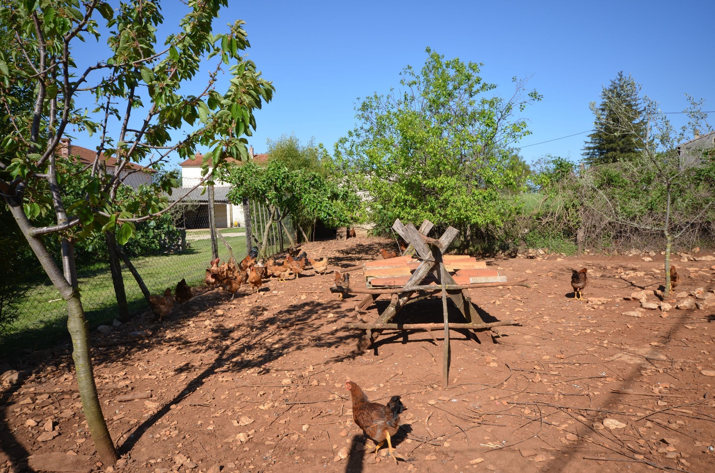 Área da propriedade