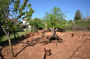 Overnatningsstedets område