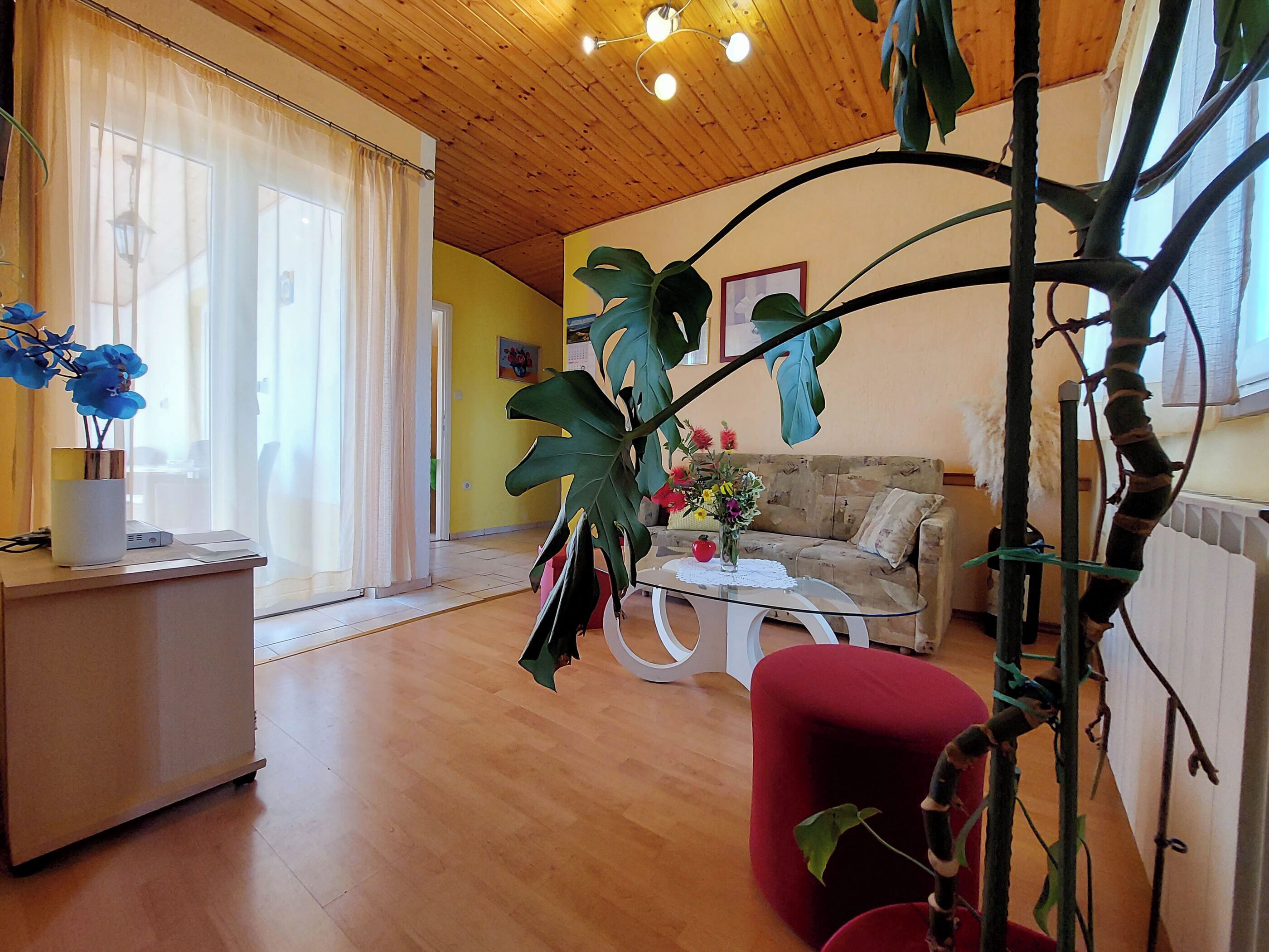 A cozy living room with a wooden ceiling, a sofa, a coffee table, and a red chair.