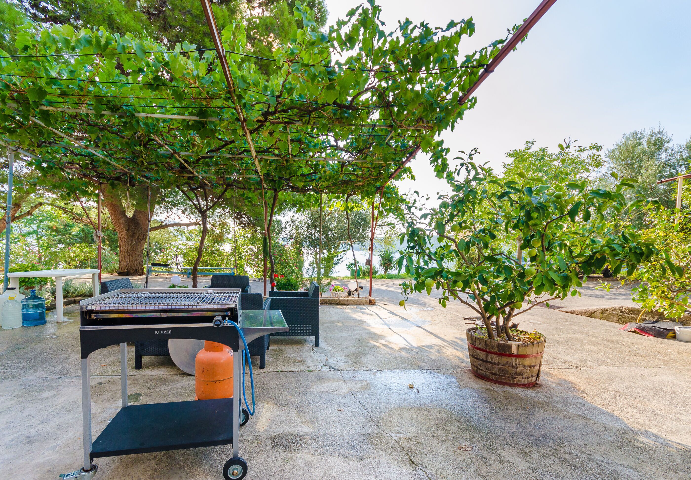 BBQ/picnic Area