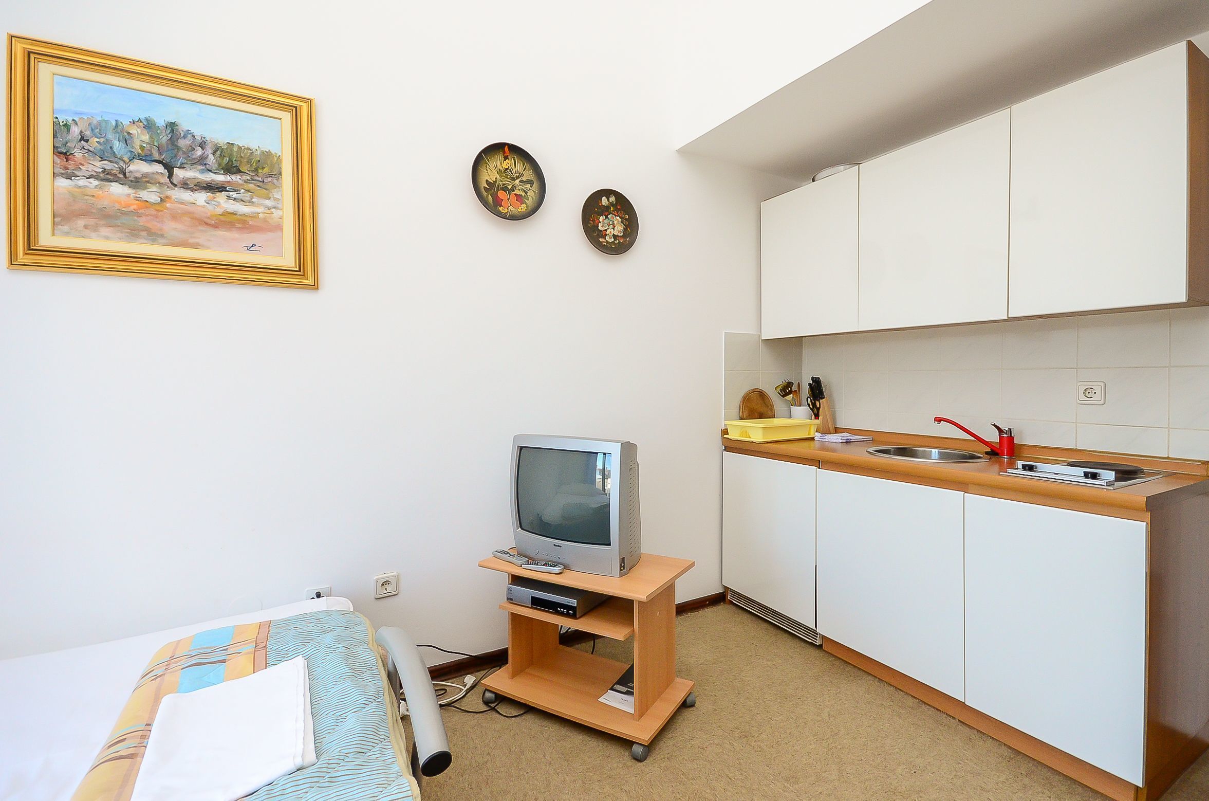 A compact room with a bed, a television on a stand, a small kitchen area with a sink and cabinets, and two decorative plates on the wall.