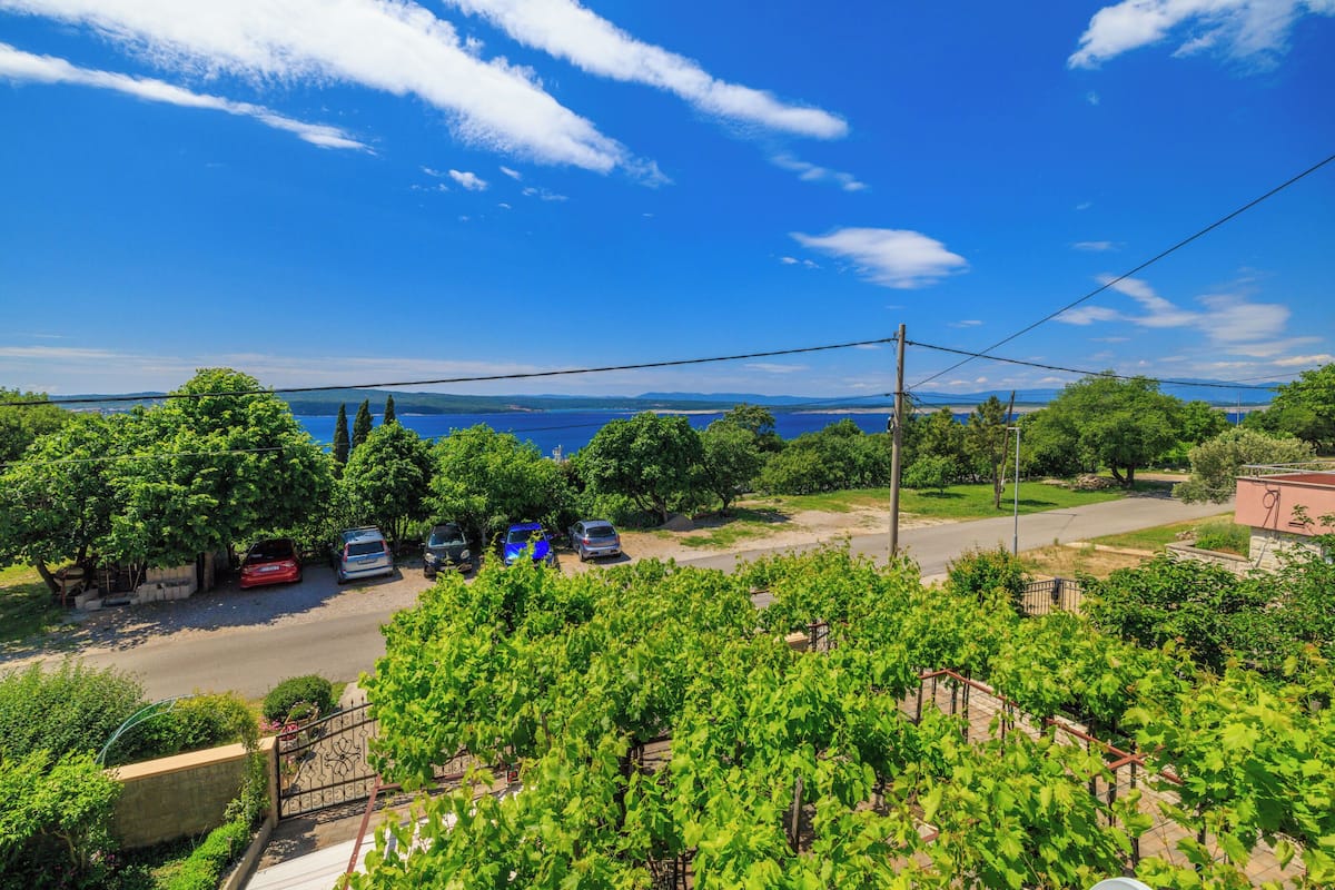 A vineyard with rows of grapevines, a road with parked cars, and a view of a body of water in the distance.