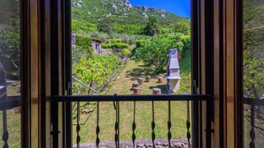 Vista attraverso una finestra con ringhiera metallica, che mostra un vigneto con filari di viti, una costruzione in pietra e una montagna sullo sfondo.