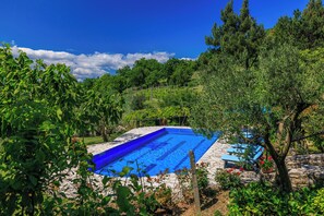 Outdoor pool, pool umbrellas, sun loungers