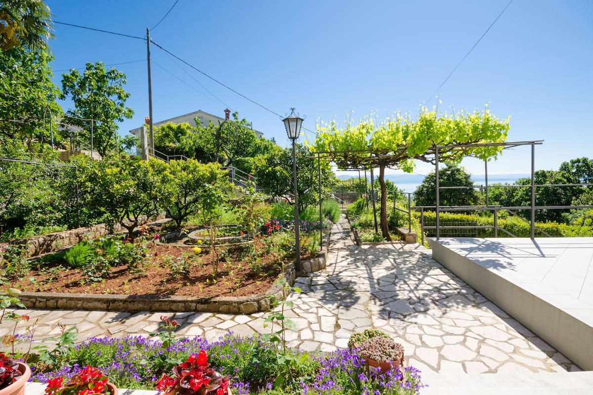 A garden with a pergola, stone pathway, and various plants.