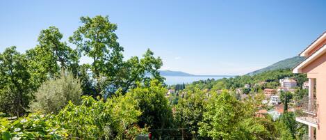 A garden with various trees and shrubs, a clear blue sky, and a view of a town and mountains in the distance.