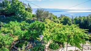 Un jardín con diversas plantas y un sendero de piedra.
