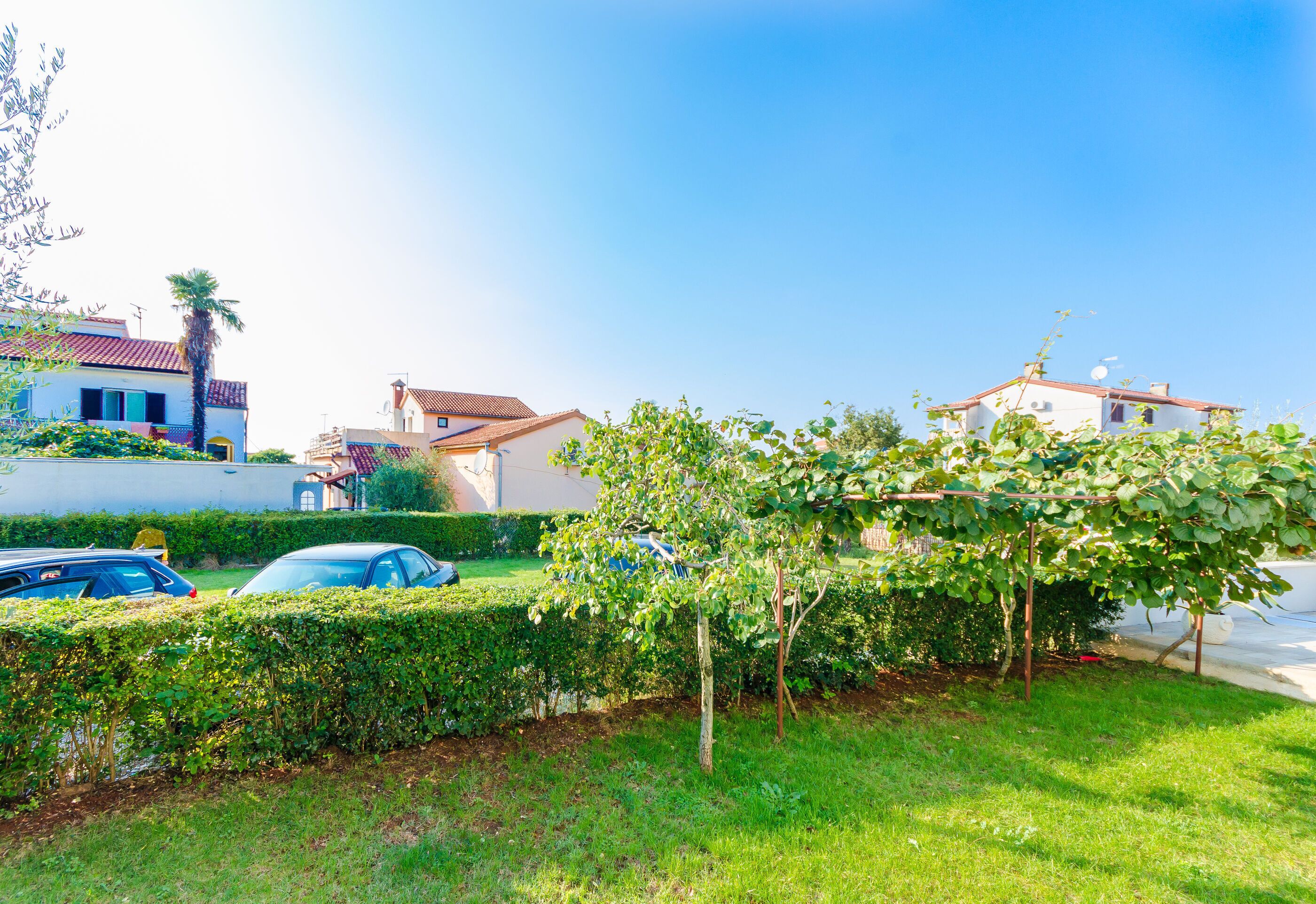 A residential area with houses, a car, and a well-maintained lawn.