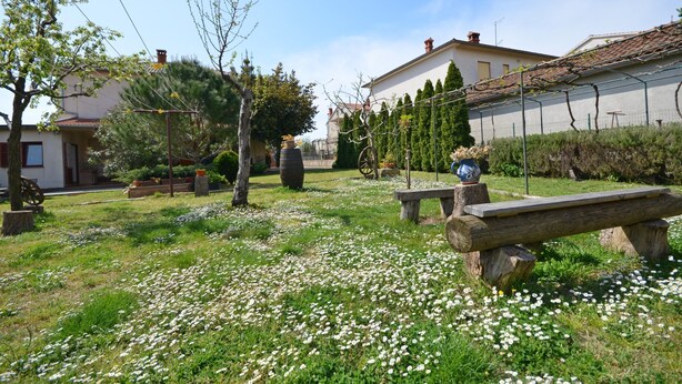 Um jardim com um banco de madeira, uma mesa pequena e diversas plantas e flores.
