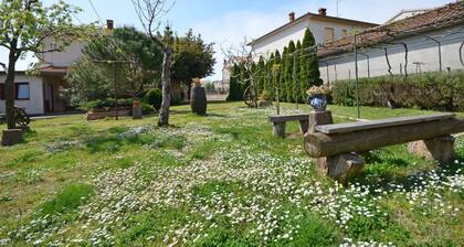Apartments Mirela