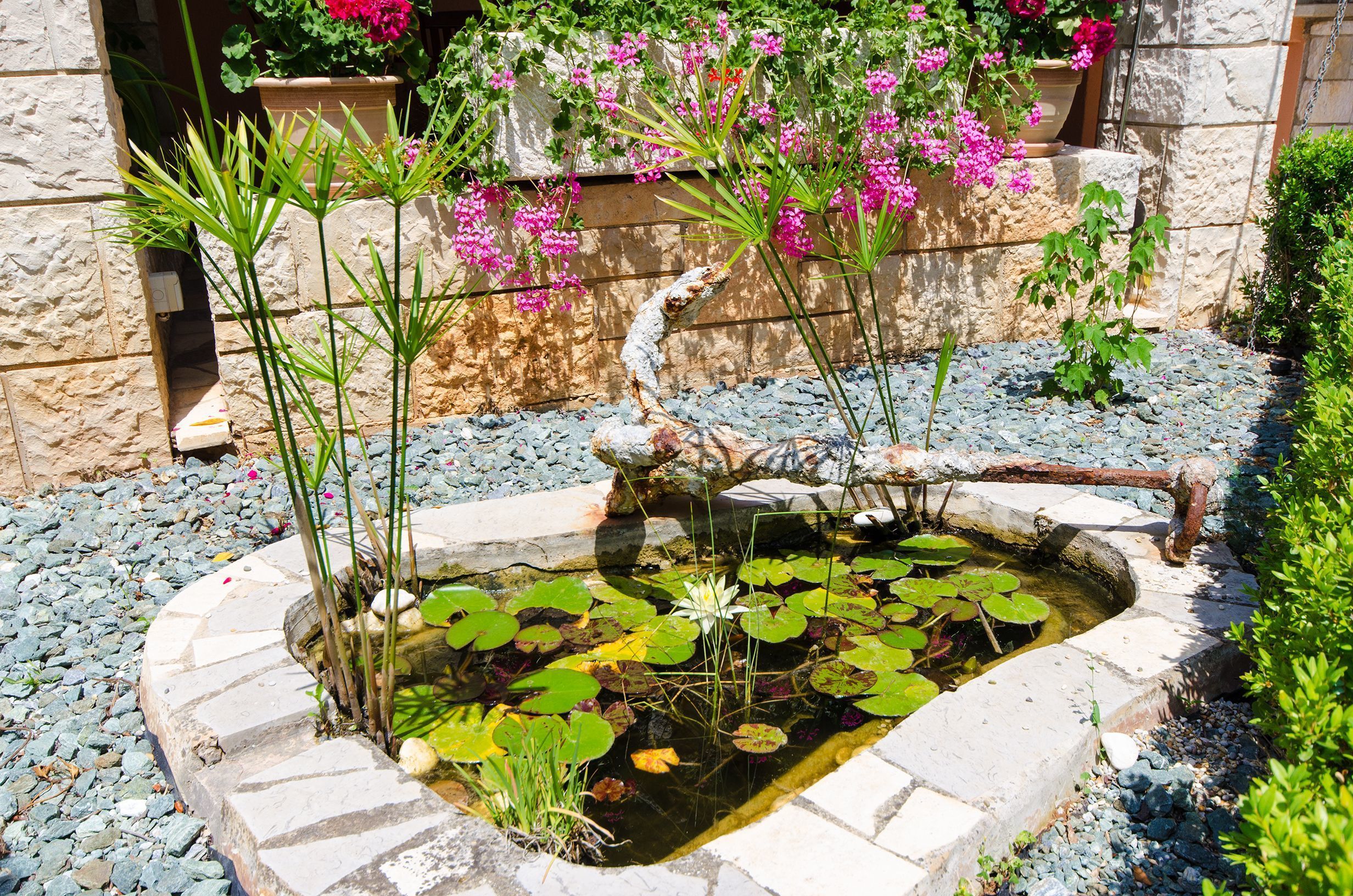 A garden with a pond, surrounded by stone walls and potted plants.